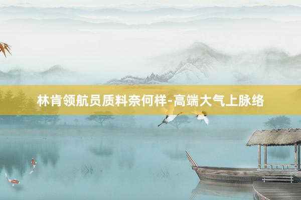 林肯领航员质料奈何样-高端大气上脉络